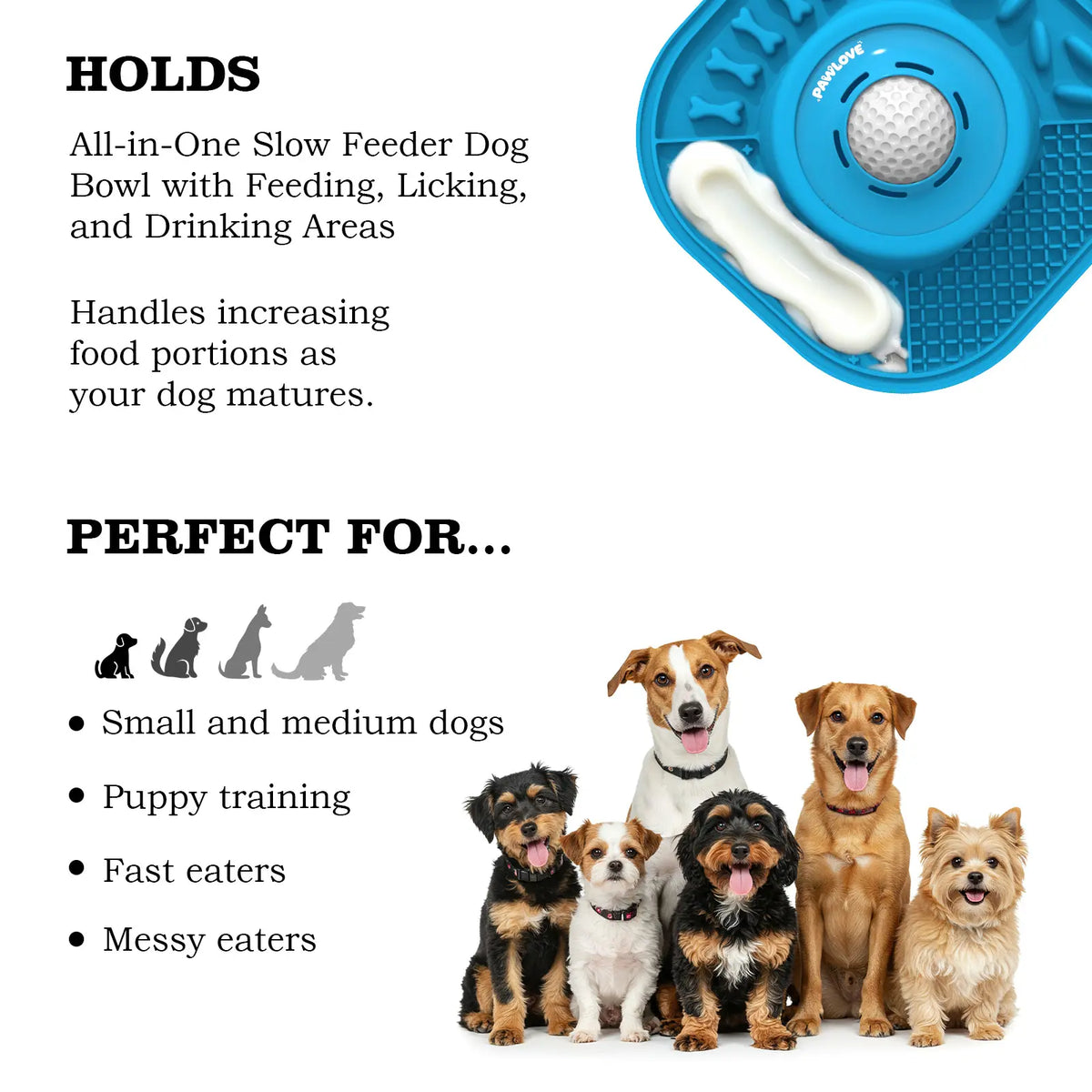 Slow Feeder Bowl for Dogs with Anti-Slip & Ball Design